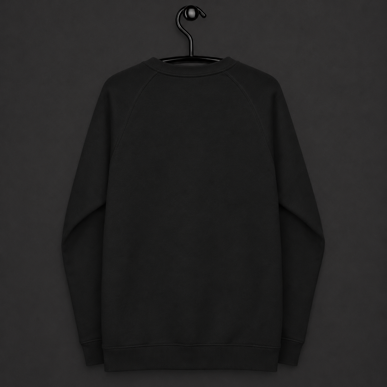 Raglan Sweatshirt